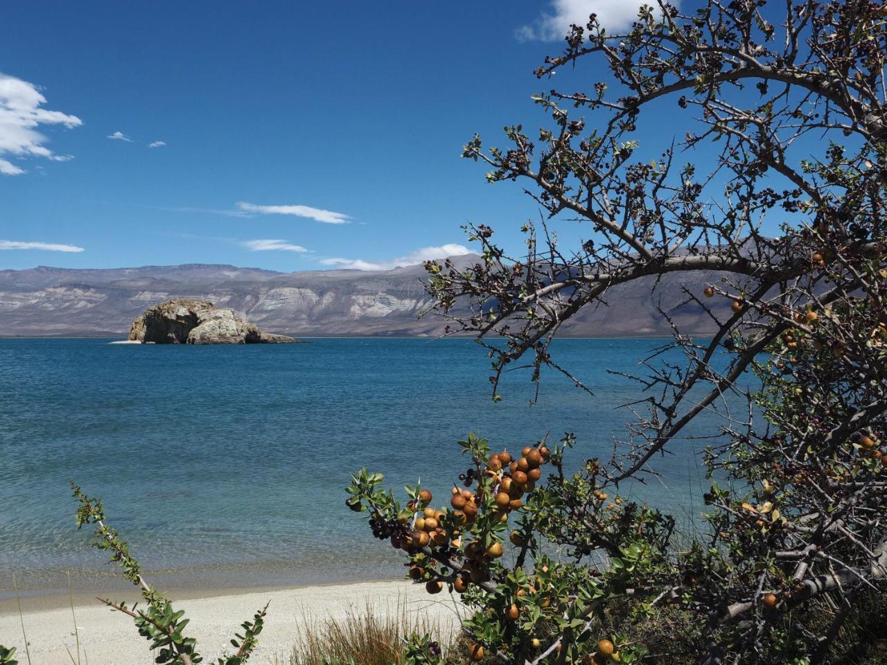 Rio Tarde Casa Patagonica Lago Posadas Exterior foto